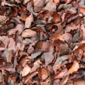 Cocoa Shell Mulch for Sulcata Tortoise